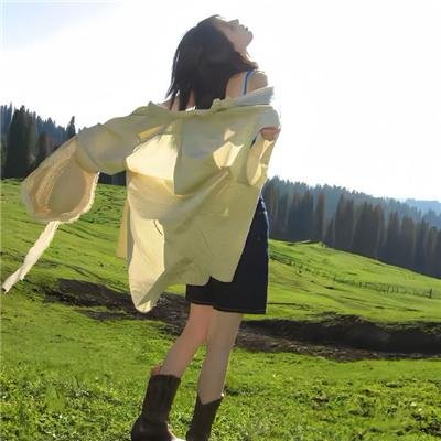 遇见企鹅 海报